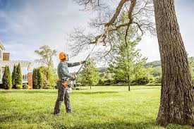 Best Tree Maintenance Programs  in Valencia, NM