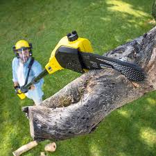Best Lawn Grading and Leveling  in Valencia, NM
