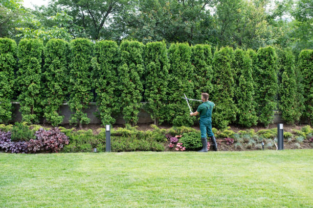 Best Hazardous Tree Removal  in Valencia, NM