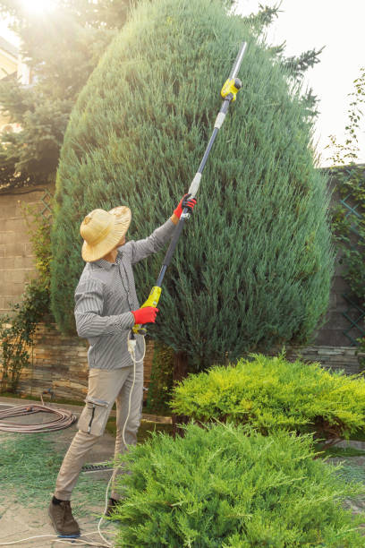 Best Lawn Drainage Solutions  in Valencia, NM